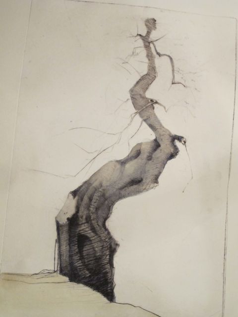 F Baum1
